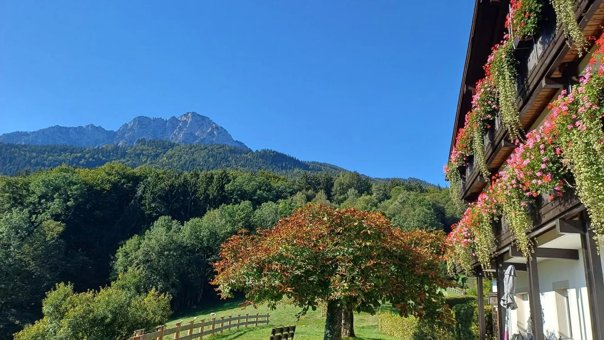 Hölbinger Alm - Apartments Anger