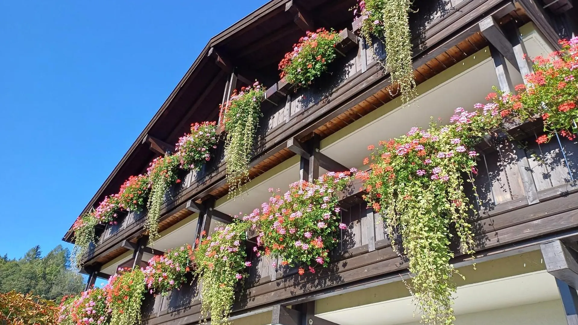 Hölbinger Alm - Apartments Anger Deutschland