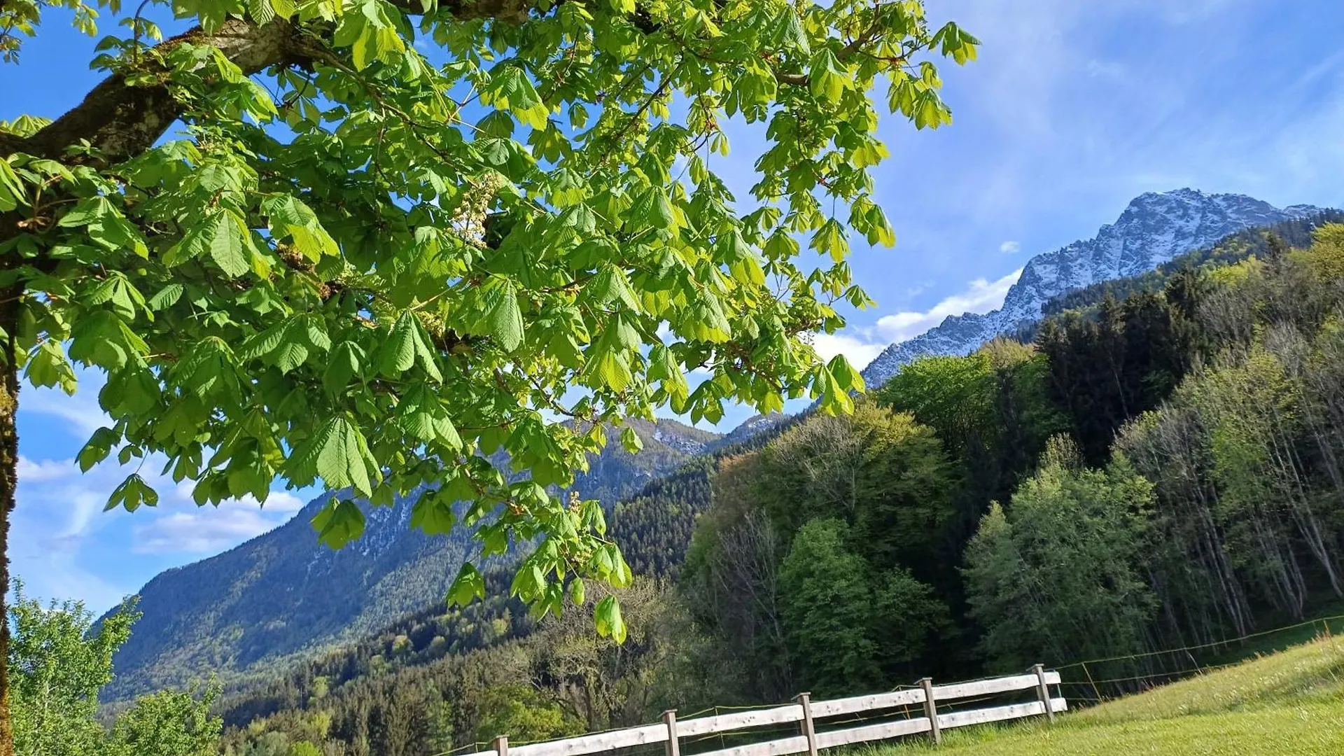 Hölbinger Alm - Apartments Anger