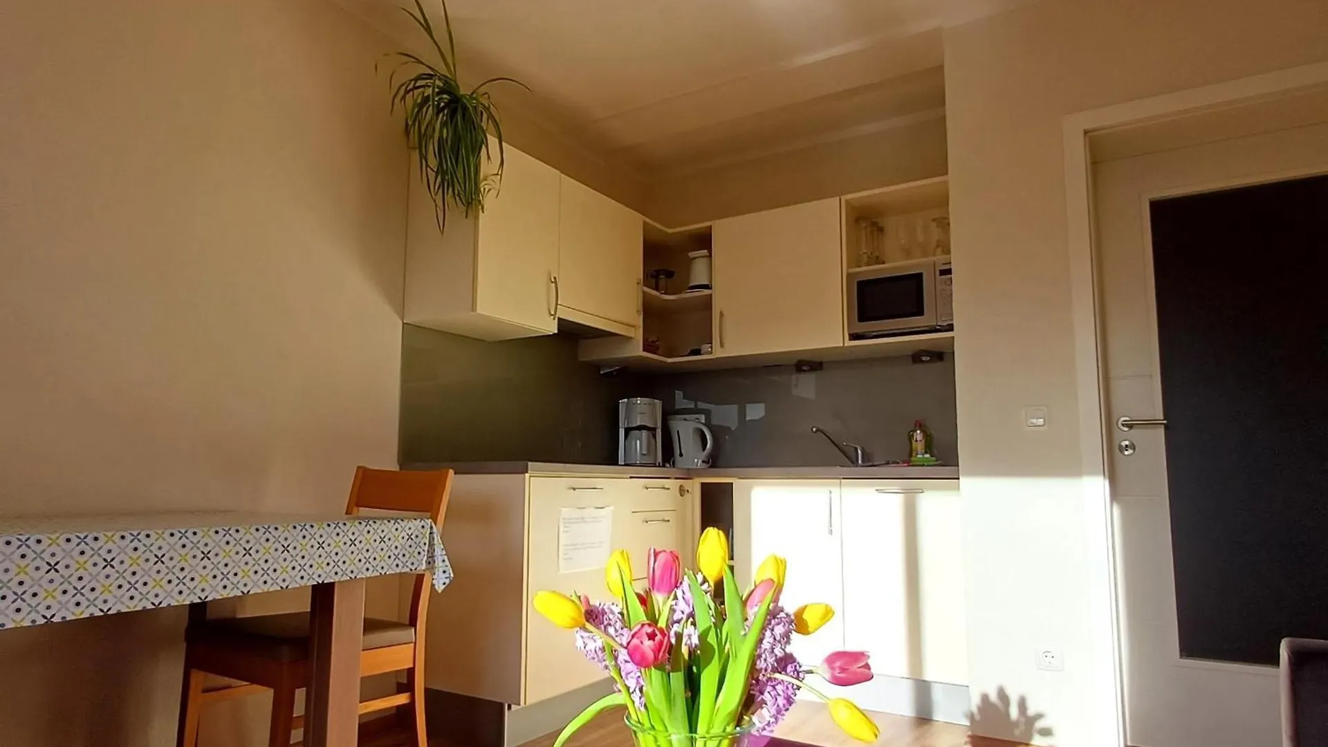 Holbinger Alm - Apartments Anger Germany