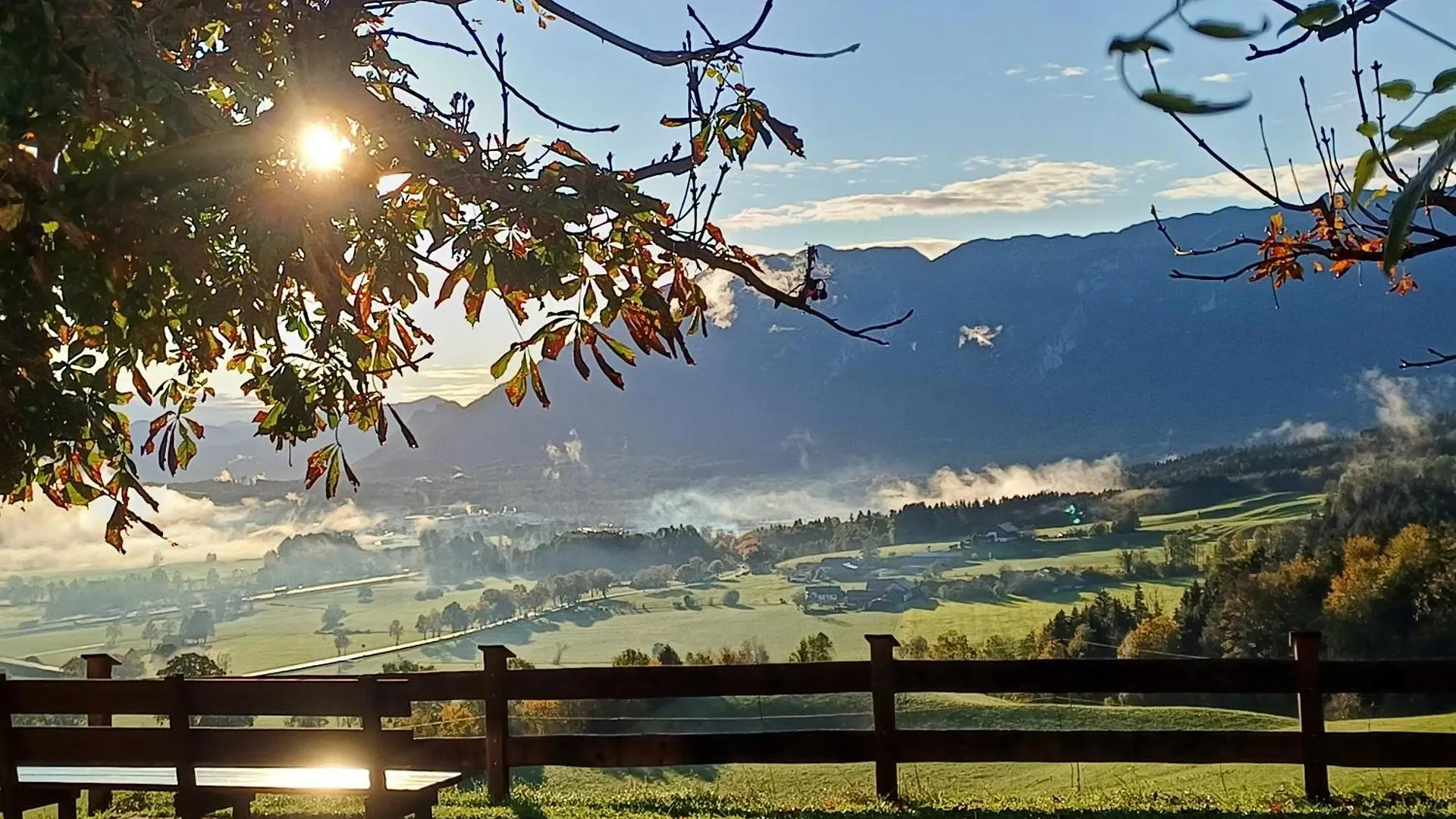 Holbinger Alm - Apartments Anger